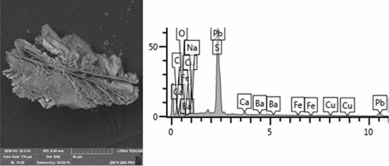 Fig. 13: Nonferrous metals etching. Particles morphology. Scanning electronic microscopy. Measuring interval 50 µm.