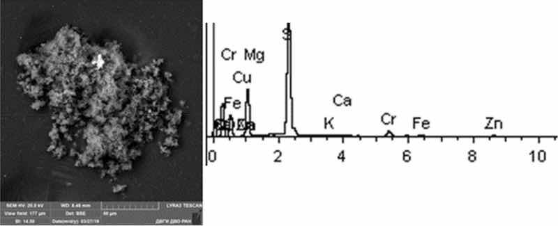 Fig 8: Chemical degreasing. Particles morphology. Scanning electronic microscopy. Measuring interval 50 µm.