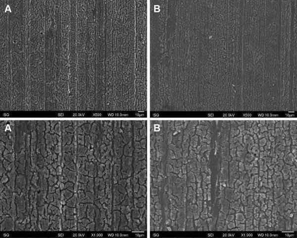Fig.1: IllustrativeSEMphotomicrographyobtainedinthesecondaryelectronsmode(SE)oftheAA2024-T3surfacetreated with Alodine 1200 before (a) and after EIS measurements of 7 days of immersion in 0.5 M NaCl (b) (3500 and 31000)