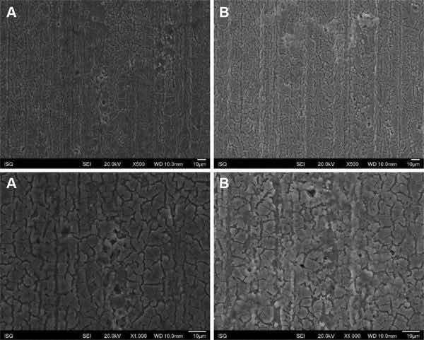 Fig 2: Illustrative SEM photomicrography obtained in the secondary electrons mode (SE) of the AA2024-T81 surface treated with Alodine 1200 before (a) and after EIS measurements of 7 days of immersion in 0.5 M NaCl (b) (×500 and ×1000).