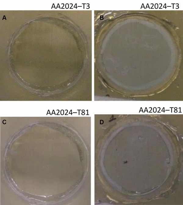 Fig 7: Illustrative photographs of the aluminum substrates treated with Alodine 1200: (a) AA2024-T3 at initial immersion time; (b) AA2024-T3 after 7 days of immersion in 0.5 M NaCl; (c) AA2024-T81 at initial immersion time; (d) AA2024-T81 after 7 days of immersion in 0.5 M NaCl