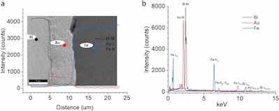 Figure 5. EDS of a bismuth-plated sample cross-section. (a) Linescan data across the cross-section from the bismuth M line (black), gold L line (red), and iron K line (blue). (b) Overlaid EDS spectra of bismuth (black), gold (red), and iron (blue) areas in the cross section.