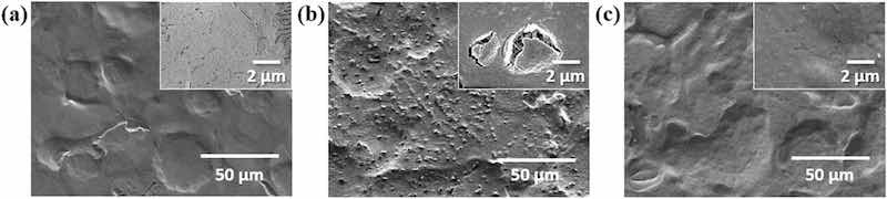 Figure 3: SEM images of (a) ZS, (b) C-ZS, and (c) CP-ZS before exposure to high humidity treatment. Insets of (a)–(c) show the magnified SEM images.