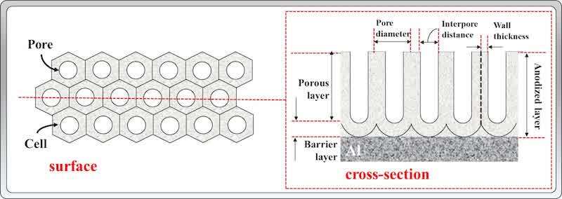 Figure 1. Schematic representation of the surface arrangement and cross-sectional structure of an ideal porous anodic oxide, showing the hexagonal cell packing and the porous and barrier layers. Adapted from Fig. 6 (c) in reference.[19]