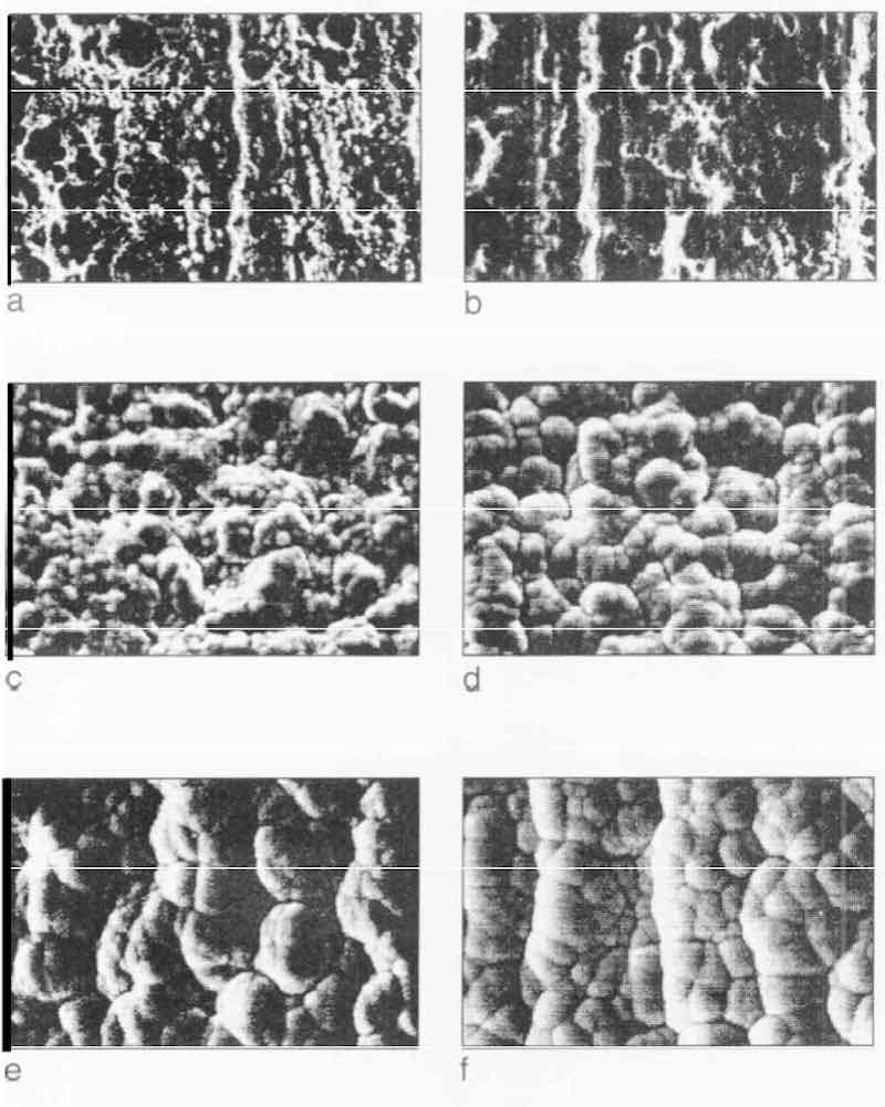 Fig. 6â€”Progress of EN deposition on Grind 2 substrate after electropolishing and deposition rate of 12 Âµm/hr: (a) O rein; (b) 1 rein; (c) 5 rein; (d) 10 rein; (e) rein; (f) 30 min.