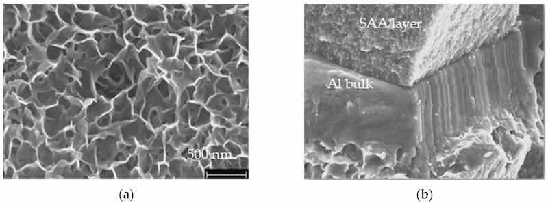 Figure 19. (a) The SEM images of the surface of sealed aluminum samples treated in hot water (98 Â°C, 40 min) reveal distinctive petal-shaped structures. These formations are indicative of morphological changes likely resulting from the hydration process and the formation of boehmite layers during the sealing treatment; (b) SEM of the fracture cross-sections after sample preparation.