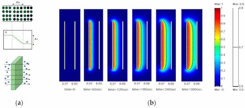 Figure 12. (a) The movement of ions from surface of anode based on the concentration gradient developed in electrolytic solution. (b) Formation of uniform and thick viscous film at anode for various time intervals at constant diffusion coefficient (D = 10−7cm/s) [118], open access provided by WIT press 2005.