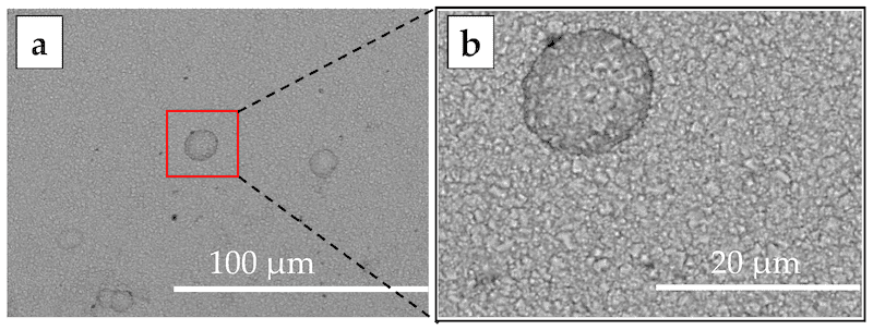 Figure 3. SEM images of the nickel coatings of (3.0 A·dm−2)* in vertical direction, (a) ×1000, (b) ×4000.