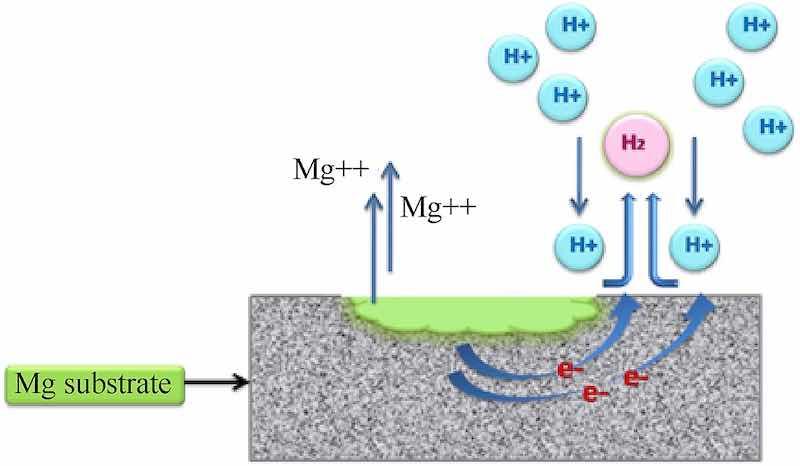 Fig. 1. Corrosion mechanism on magnesium substrate surface (Acidic media).