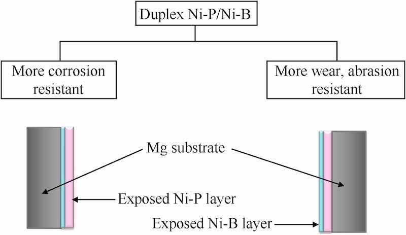 Fig. 5. Preferential duplex Ni-P/Ni-B system.
