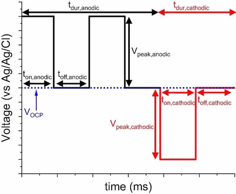 The anatomy of a pulse sequence used for P/PR EP. 