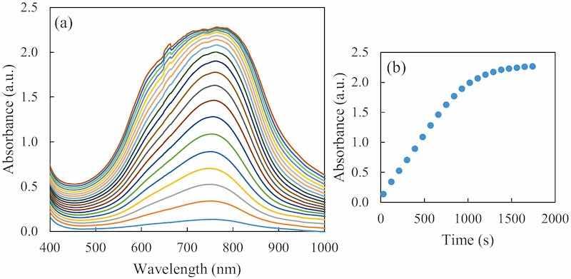 Fig. 2. (a) Evolution of the formed blue complex UV–Vis absorption spectra registered for 30 min every 90 s, for an initial 0.75 mM hypophosphite concentration. (b) The kinetics at 752 nm for the same sample during the 30 min.