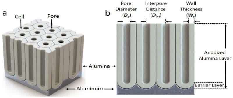 Figure 4. Schematic representation of anodized aluminum oxide showing pore diameter (Dp), interpore distance (Dint), wall thickness, and the barrier layer interface [39].