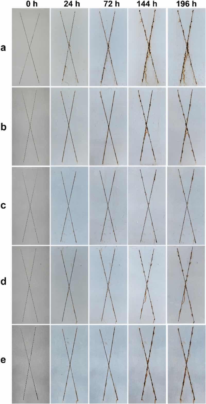 Fig. 10. Digital images of the salt spray test for the (a) EP, (b) G0.2%/EP, (c) G0.4%/EP, (d) G0.6%/EP, and (e) G0.8%/EP coating, respectively.