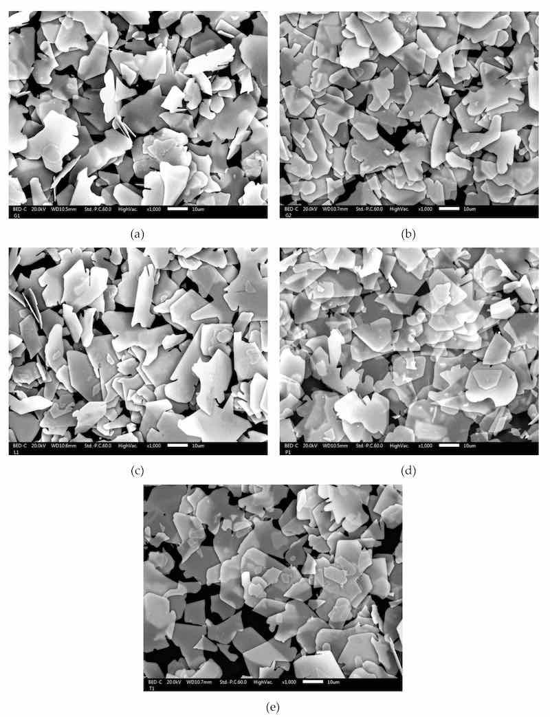 Figure 1. SEM images of pigment flakes: (a) GB-SW; (b) GB-WNT; (c) LG; (d) PS; and (e) TB.