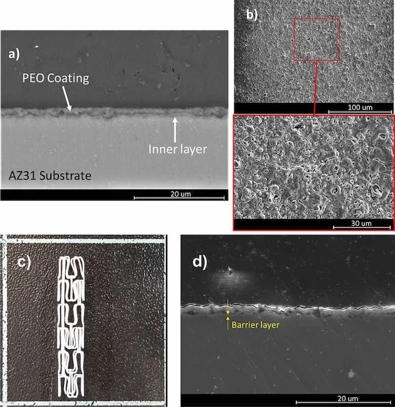 Fig. 6. (a) Cross-section view of the PEO coating formed on the AZ31 plate. (b) Plain view and a magnified area below from the surface of the PEO coating on the AZ31 plate. (c) Picture of PEO-coated AZ31 stent. (d) Cross-section revealing the interface of the PEO coating with the AZ31 stent imaged by SEM in a secondary electron mode.