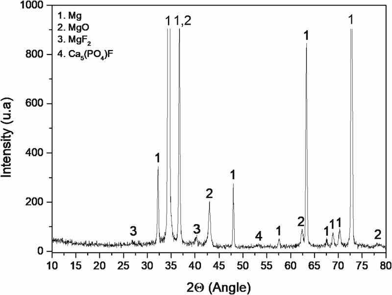 Fig. 7. XRD diffraction pattern of the PEO coating generated on the AZ31 substrate.