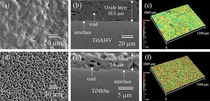 (a,b,d,e) SEM and (c,f) LM images of the anodic oxides on (a–c) Ti6Al4V and (d–f) TiNbSn; (a,d) plan-view, (b,e) cross-sectional, and (c,f) three-dimensional images of the oxide.