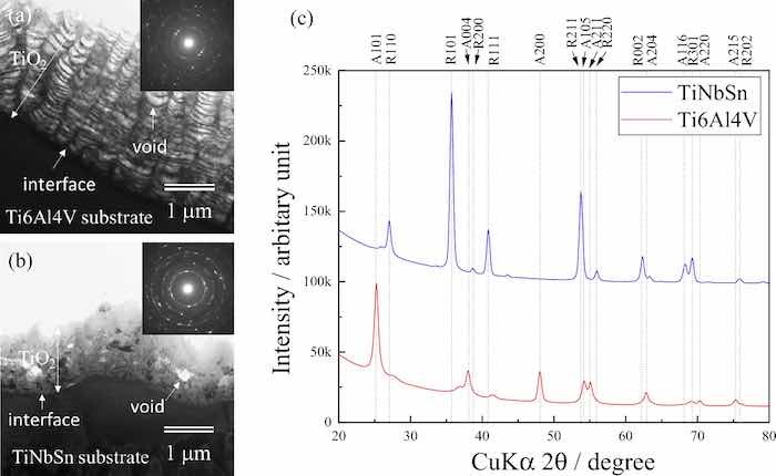 Cross-sectional TEM images of the anodic oxides on (a) Ti6Al4V and (b) TiNbSn, and (c) thin film XRD scan profiles of the anodized Ti alloys.