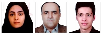 Parnian Ilbag, Masoud Rismanchian, and Saeid Yazdanirad.