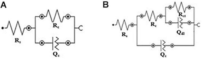 Figure 7. Electrical circuits used for fitting the coatings electrical parameters. (A) One-time constant Rs(QcRc) and (B) two-time constants Rs{Qc[Rc(QdlRc)]}.