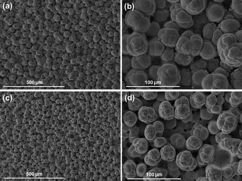 Fig. 1: SEM surface images of two pure nickel coatings deposited with a white brush material. (a,b) show two magnifications of a sample produced with a current density of 75 A/dm2 (c,d) correspond to a coating deposited at 124 A/dm2.