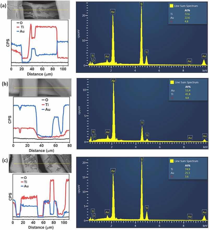 Fig. 4. EDS line scanning spectrum of fresh (a) Au/Ti felt [R = 0], (b) Au/Ti felt [R = 50], and (c) Au/Ti felt [R = 200] samples.
