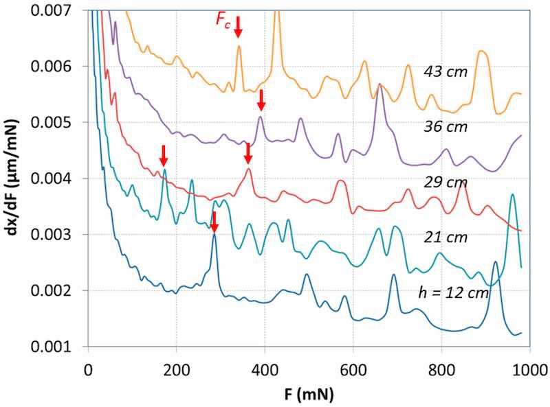 Figure 6. First derivative of displacement with respect to load (dx/dF) as a function of load for nl-(Cr,Al)N coatings deposited at different heights in the deposition chamber (h) as a function of the indentation load (F). The vertical positions of the samples in the vacuum chamber were as follows: 12 cm, 21 cm, 29 cm, 36 cm and 43 cm. The arrows point to the loads Fc where the first cracks appeared in the coating during the indentation test.