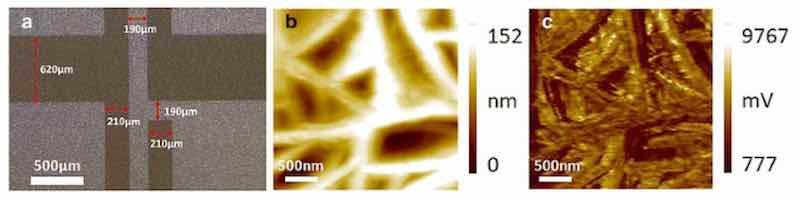 Figure 4. (a)â€”surface morphology of the proposed sensor after etching technology; (b)â€”Surface morphology and (c) PFM phase images of the PVDF sensor film [73].