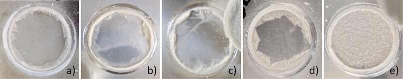 Fig. 11. Adhesion failure mode after pull-off test of AA2024-T3-4000grit - bare (a), bare+SG (b), HNO3 + SG (c), KOH + SG (d) and DI + SG (e).