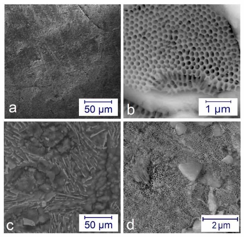 Figure 3. SEM pictures on the microstructure of the anodized layers: (a) a compact surface at j = 2 A/dm2 at 4 h; (b) beehive-like structure formed at j = 6 A/dm2 for 1 h in different magnifications; (c) compact surface at j = 6 A/dm2 for 1 h after post-treatment; (d) half compact—half porous surface at j = 2 A/dm2 for 4 h after post-treatment.