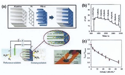 Figure 11 - (a) Schematic diagram showing the process of depositing Prussian Blue nanotubes inside NAA pores and their use for virus sensing; (b) typical closed-circuit steady-state current response of a PB nano- tube-based sensor toward DENV-2 virus and (c) its corresponding calibration plot showing normalized closed- circuit steady-state current versus virus concentration.