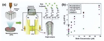 Figure 12 - (a) Schematic diagram of NAA-based impedance sensors for the recognition of streptavidin and biotin interaction with certain areas of pores selectively opened with focused ion beam (FIB) technology; (b) graph showing changes of pore resistance against various concentrations of biotin for the pore areas opened using FIB.