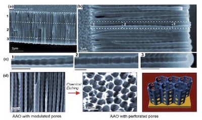 Figure 4 - (a-c) SEM images of AAO with multilayered pore architectures with different pore shapes and structural modulation fabricated by multiple cyclic anodization in 0.1M phosphoric acid with three successive galvanostatic anodization steps by three different cyclic signals; (d) AAO with periodically perforated pores (nanopores with nanoholes) by chemical etching.