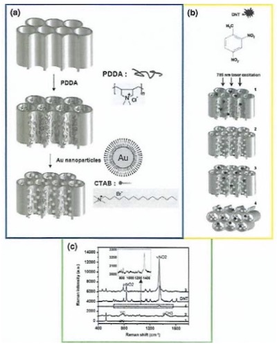 Figure 8 - Schematic diagram demonstrating the procedure for (a) decorating NAA with gold nanoparticles; (b) the chemical structure of 2,4-dinitrotoluene and the schematic of Raman measurement of 2,4-DNT with different laser excitation angles parallel (1,2,3) and perpendicular (4) to the pore axes and (c) the Raman spectrum of DNT powder and 1000 ppm 2,4-DNT on each substrate shown schematically in (b).