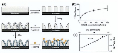 Figure 9 - (a) Design of a NAA-based electrochemical nanosensor for detection of DENV-1 Dengue virus; (b) NAA nanosensor response toward different concentrations of DENV-2 in 0.1M phosphate and (c) its corresponding linear calibration curve in long values.