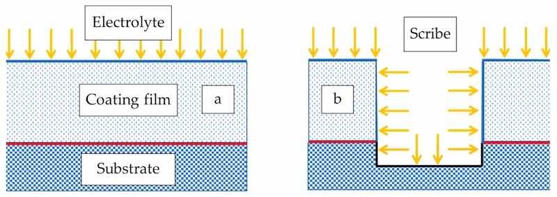 Figure 9. Schematic of two different exposure conditions and damage mechanisms arising in (a) elec- electrochemical tests and (b) neutral salt spray